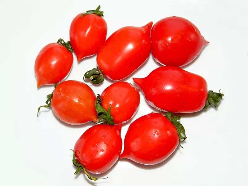 Поцелуй герани томат характеристика и описание фото. Томат Гераниум Кисс. Томат поцелуй герани семена. Помидоры сорт Гераниум Кисс. Томат герань Кисс.
