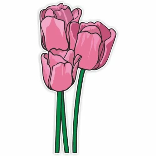 Наклейка тюльпаны. Эмодзи цветы тюльпан. Эмоджи тюльпан. Small pink tulip sticker. Small pink tulip sticker.