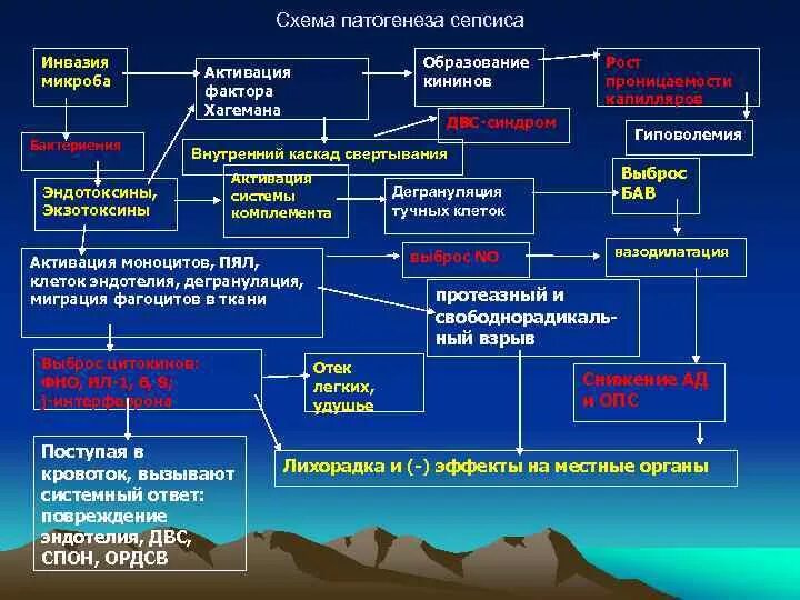 Классификация и патогенез сепсиса. Септикопиемия патогенез. Патогенез сепсиса патофизиология. Сепсис этапы патогенеза. Генерализованное гнойно септическое заболевание