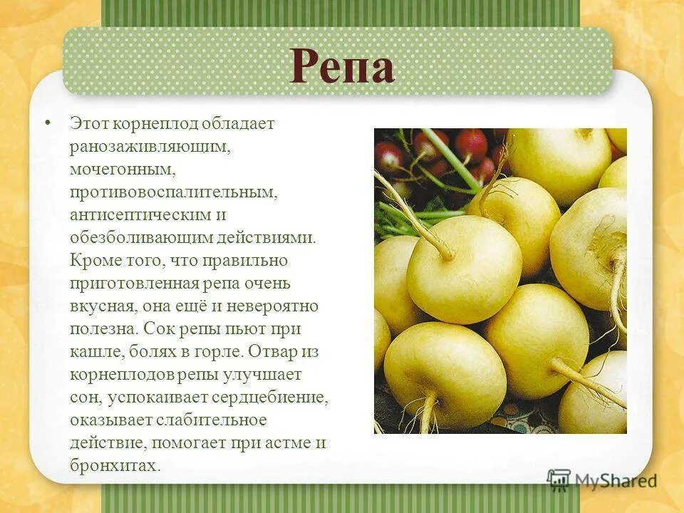 Репа калорийность. Чем полезна репа. Репа полезные качества. Характеристика репы. Чем полезна репа для организма.