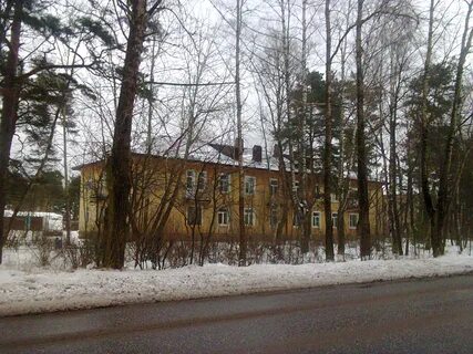 Ижора ломоносов