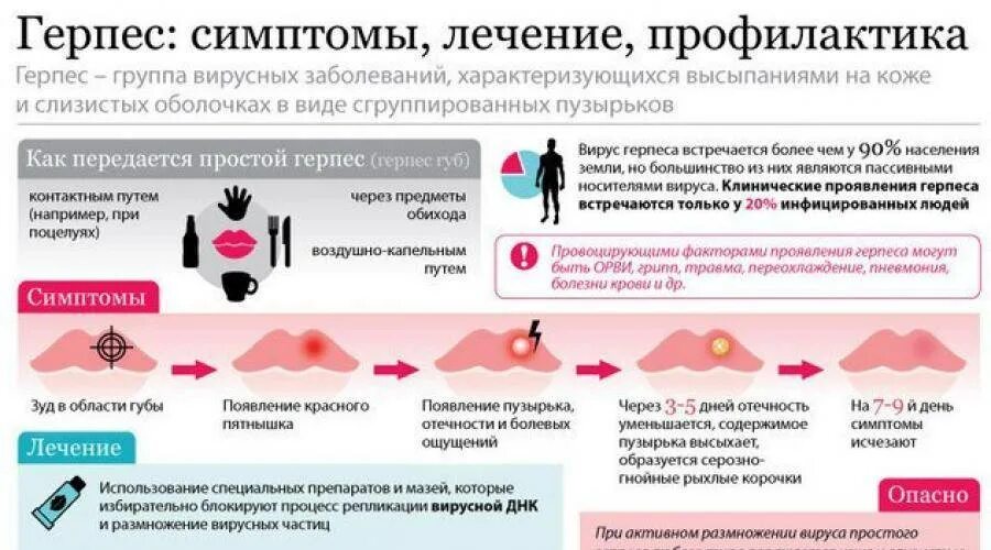 Донор герпес. Герпес симптомы и профилактика. Симптомы герпес симптомы. Генитальный герпес симптомы.