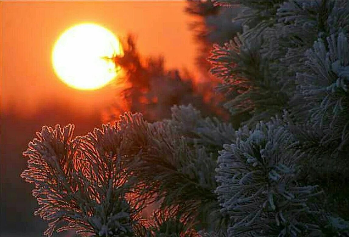 Морозное утро. Зимний закат. Морозное солнце. Зимнее морозное утро.