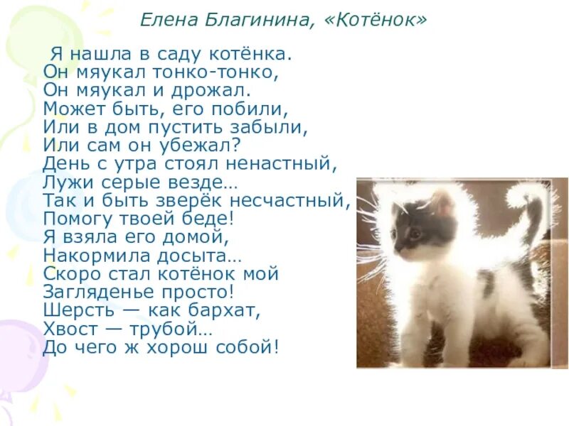 Главная мысль стихотворения котенок. Стихотворение Елены Благининой котенок. Стих котёнок Благинина. Я нашла в саду котенка он мяукал тонко-тонко.