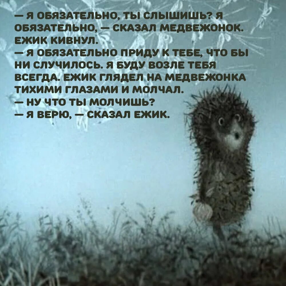 Человек я ежик грустный ежик. Ежик в тумане цитаты. цитаты из ежика в тумане. цитаты из мультика ежик в тумане. ёжик в тумане цитаты из мультфильма.
