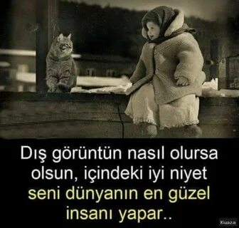 Iyi sen