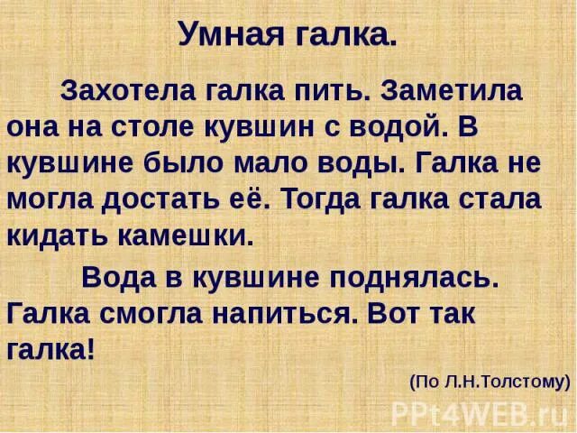 Галка пьет воду. Умная Галка. Рассказ умная Галка. Изложение Галка. Хотела Галка пить толстой.