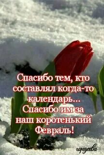 Доброе 2 февраля
