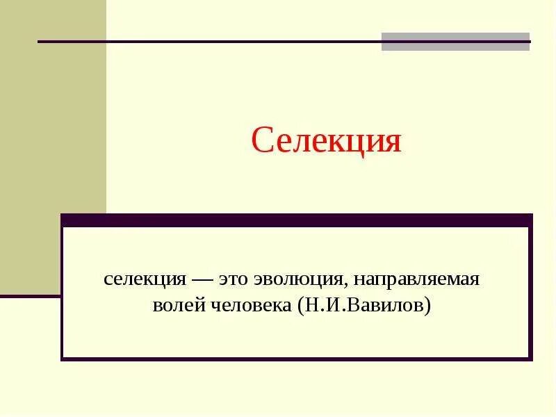 Селекция эволюция направляемая человеком. Селекция это эволюция направляемая волей человека. селекция в психологии это. шаблон презентации для селекции.