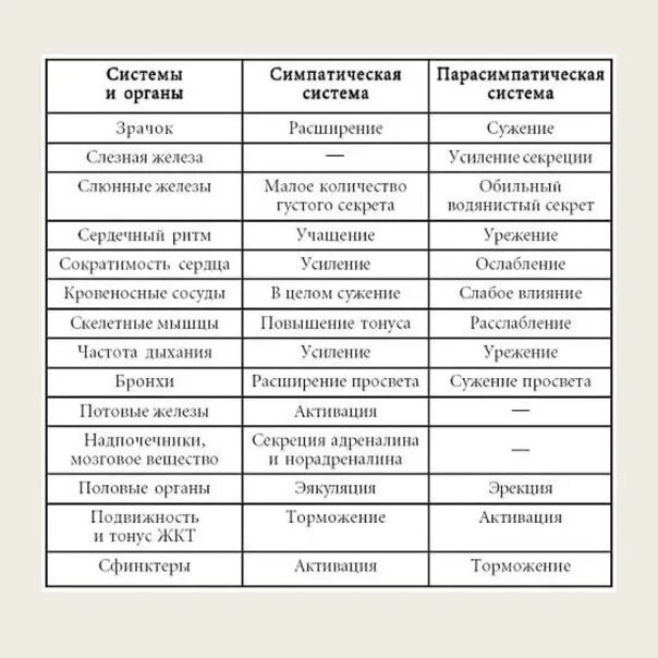 Действия симпатического и парасимпатического отделов. Таблица ВНС симпатический и парасимпатический отделы. Функции отделов вегетативной нервной системы таблица. Функции симпатической и парасимпатической нервной системы таблица. Таблица симпатическая и парасимпатическая нервная система таблица.