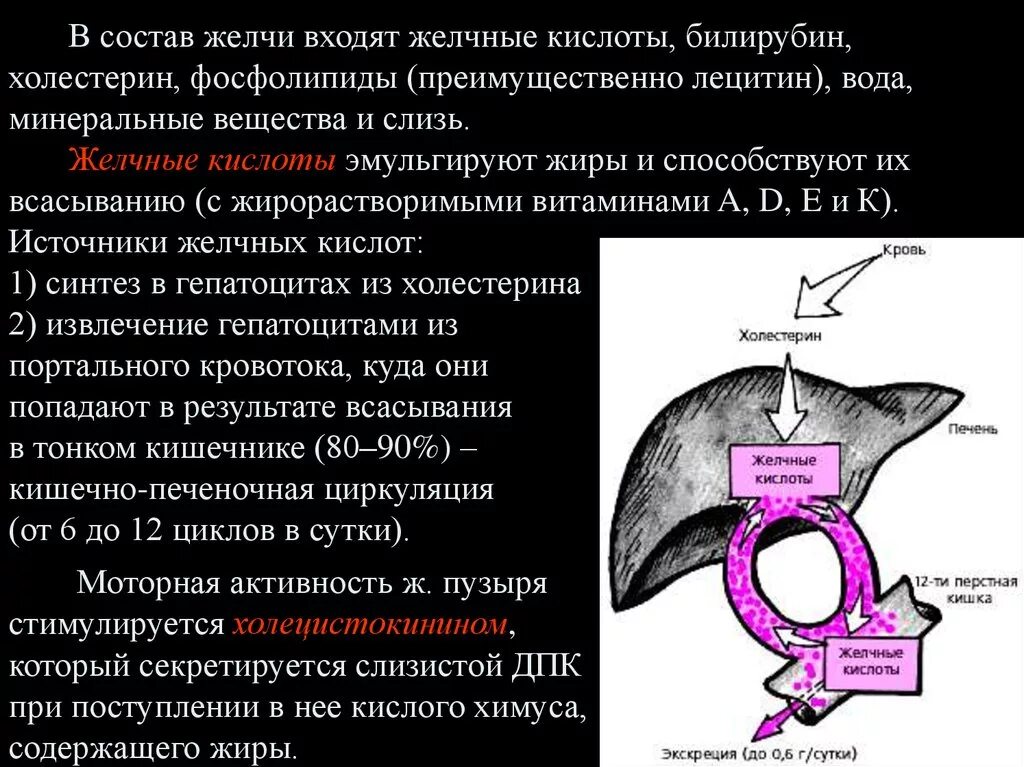 Состав желчных кислот. Состав желчи. Холестерин в желчи роль. Составные части желчи.