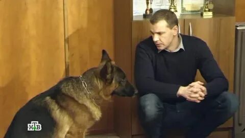 Возвращение мухтара роли исполняют