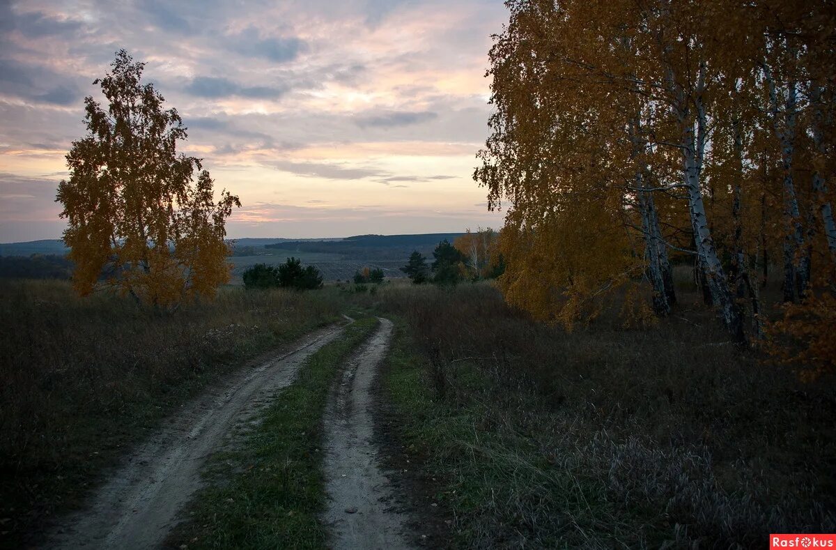 Дорога вьется между