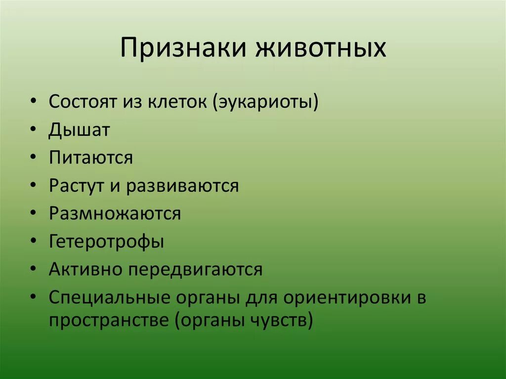 Что значит основное общее. Признаки животных. Функции пищи. Царство животные признаки. Общие признаки животных.