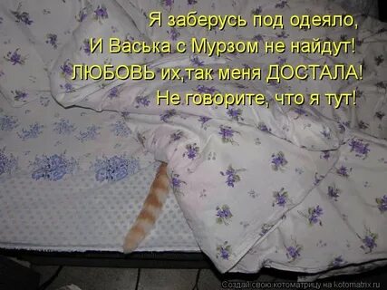 Что делают под одеялом