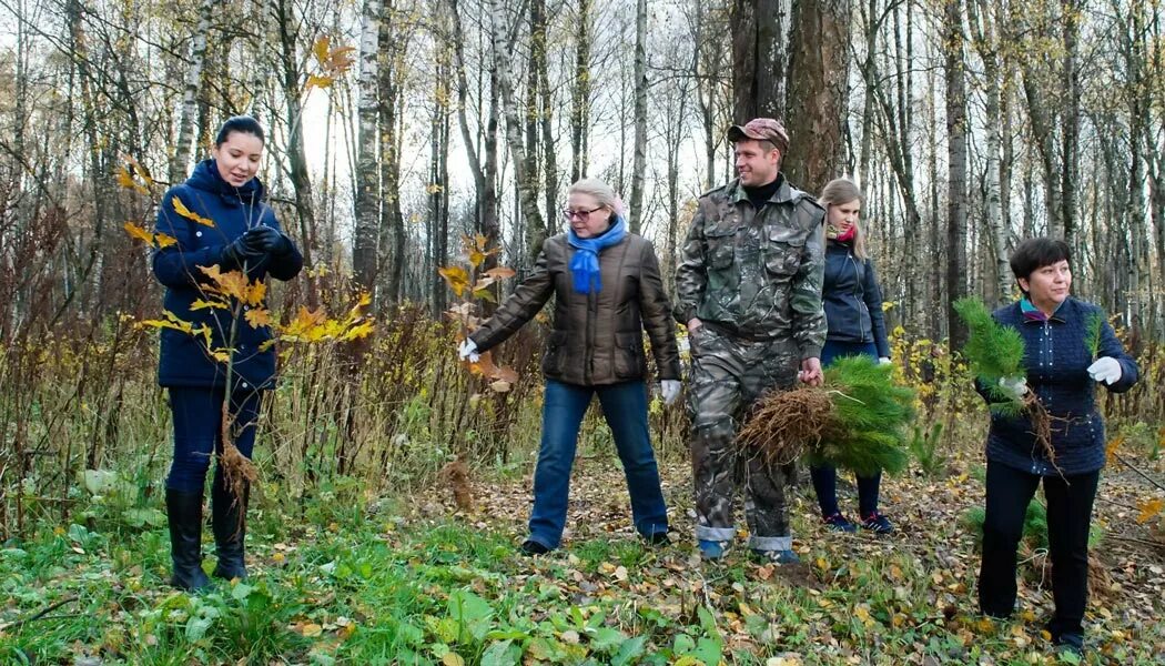 Помоги жить калуга. Министр лесного хозяйства Калужской области. Лесное хозяйство Лесное Калужская область. Министр Калужской области лесного хозяйства Макаркин. Измайловский парк лесничество.