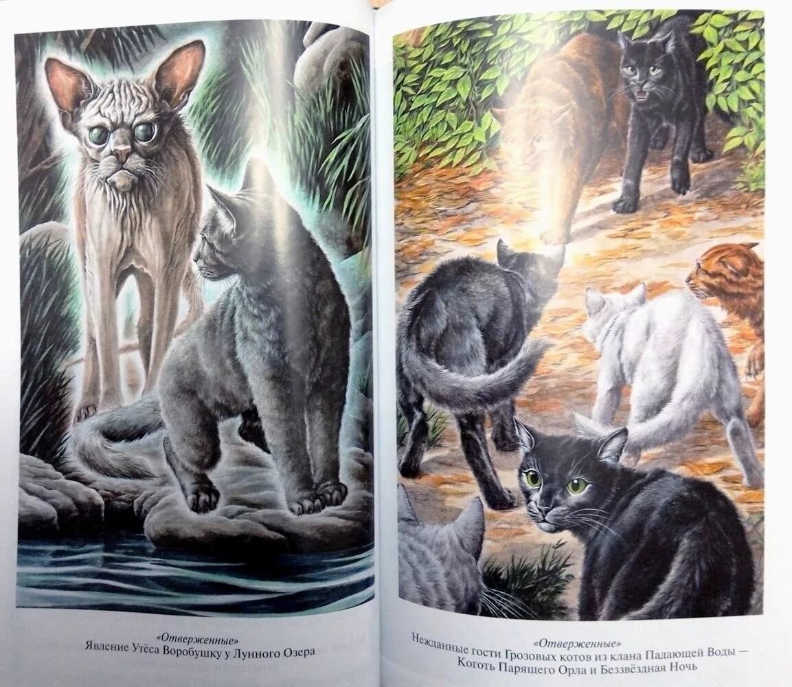 Коты воители милли. Хантер эрин "знак трёх". Коты-воители. Коты воители темная река читать. Коты воители сила трёх.
