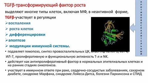 Фактор роста открытие