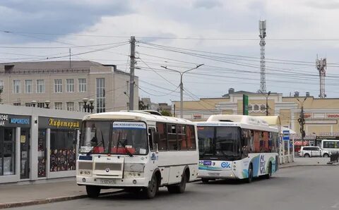 Где автобус омск 155