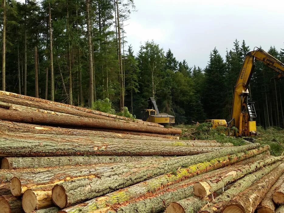 Logging company