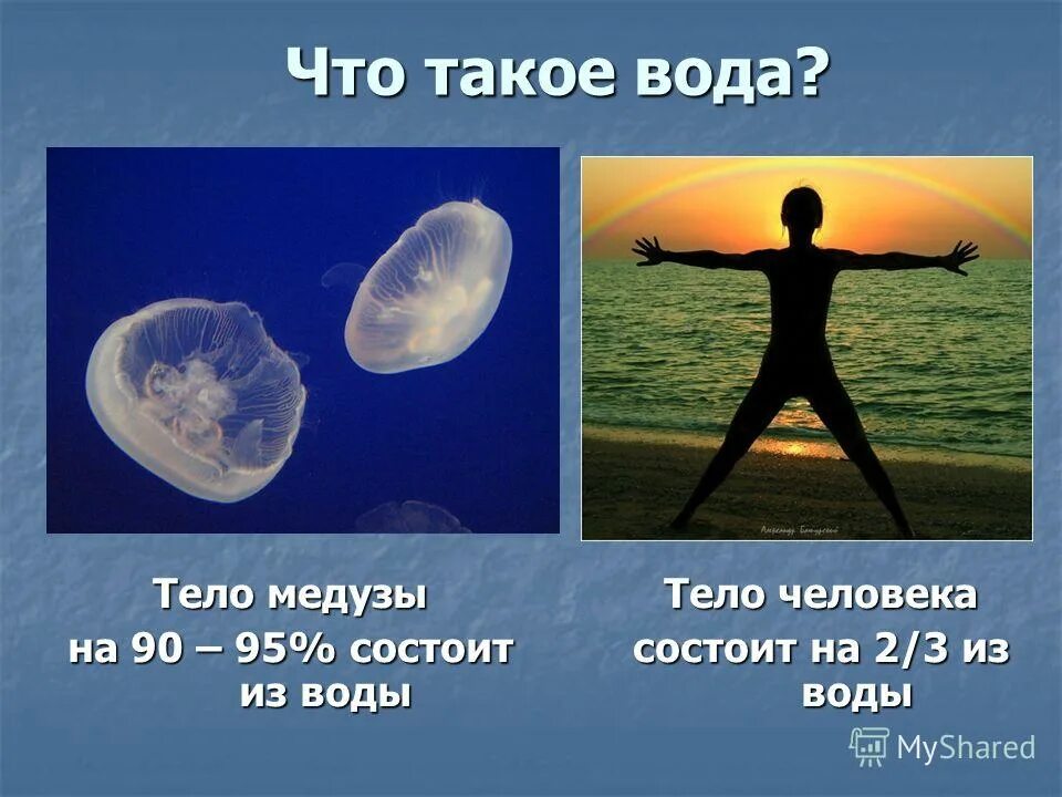 Человек на 75 состоит из воды. Вода. Из чего состоит вода. Медуза состоит из воды. Из чего состоит вода 3 класс.