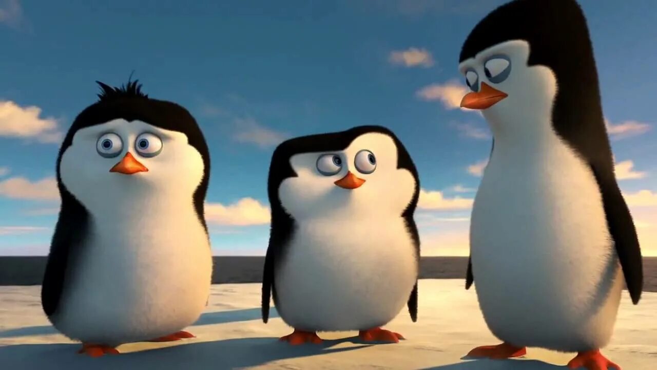 Пингвин 3 6. 3 Пингвина из Мадагаскара. Пингвины из Мадагаскара Шкипер. Маленький Шкипер пингвины из Мадагаскара.