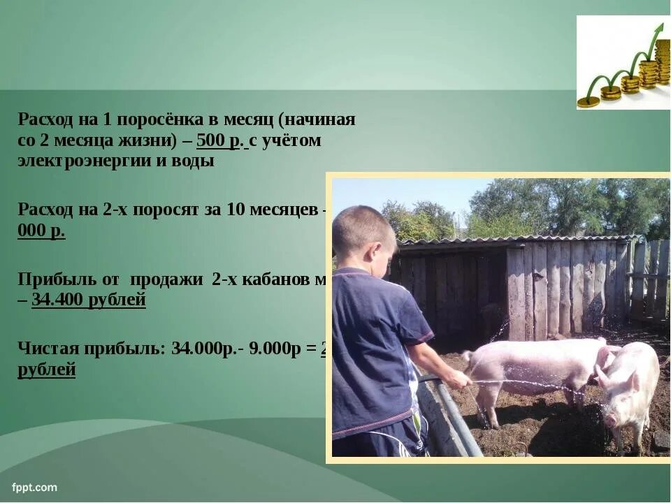 социальный контракт план развития. бизнес план для социального контракта образец. ведение личного подсобного хозяйства. социальный контракт на ведение личного подсобного хозяйства. социальный контракт на развитие личного подсобного хозяйства.