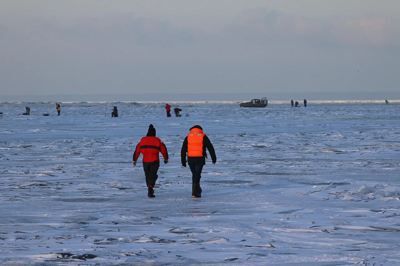 Лед на финском заливе. Ледяные торосы на финском заливе. Шуга финский залив. Ледяные цветы на финском заливе. Финский залив спб лед.