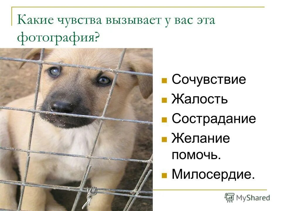 Какие чувства вызывает у вас созерцание этих храмов. Какие чувства вызывает дом. Какие чувства вызывают стихотворения звезда полей. Какие чувства вызывает рассказ. Какие чувства вызывают стихотворения звезда полей.