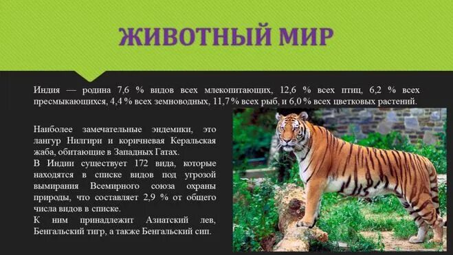 Индия сообщение 3 класс окружающий мир