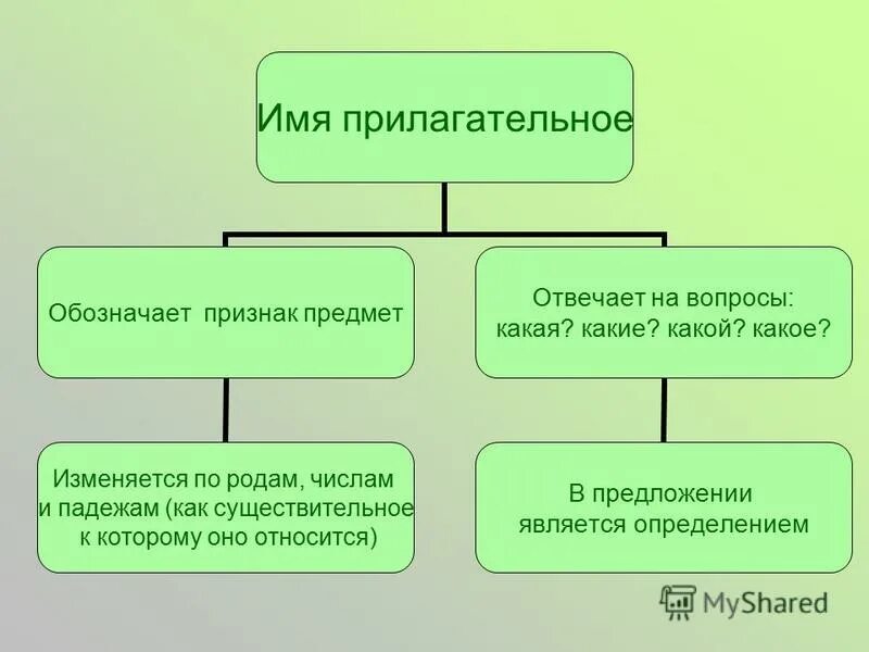 Имя прилагательное обозначает и отвечает на вопросы. Имя прилагательное обозначает и отвечает на вопросы