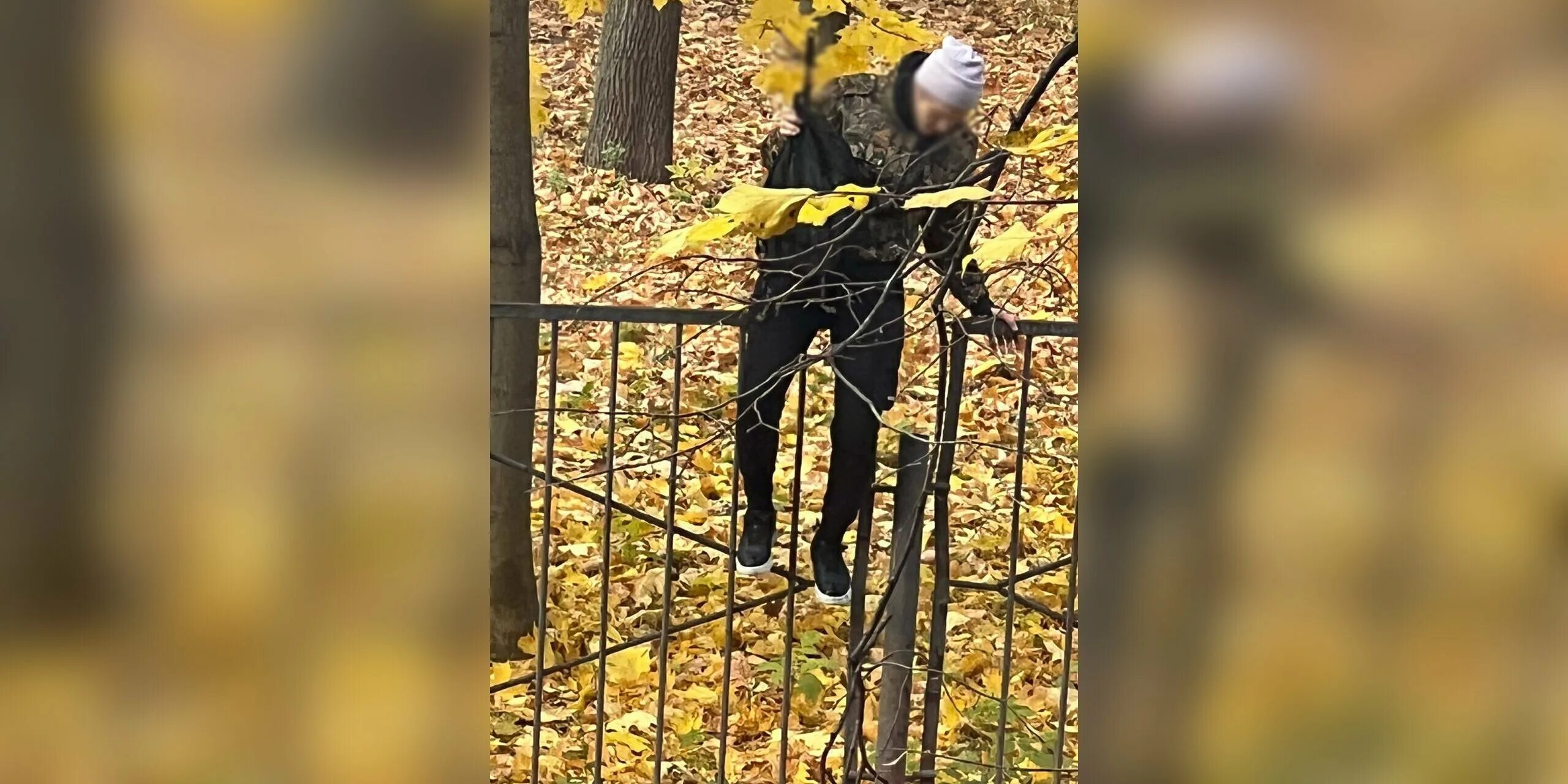 Устроил стрельбу в школе. Случай в казахстане в школе. Пермь стрельба в школе 2021. Человек с оружием рядом с школой в москве. Стрельба в школе америка.
