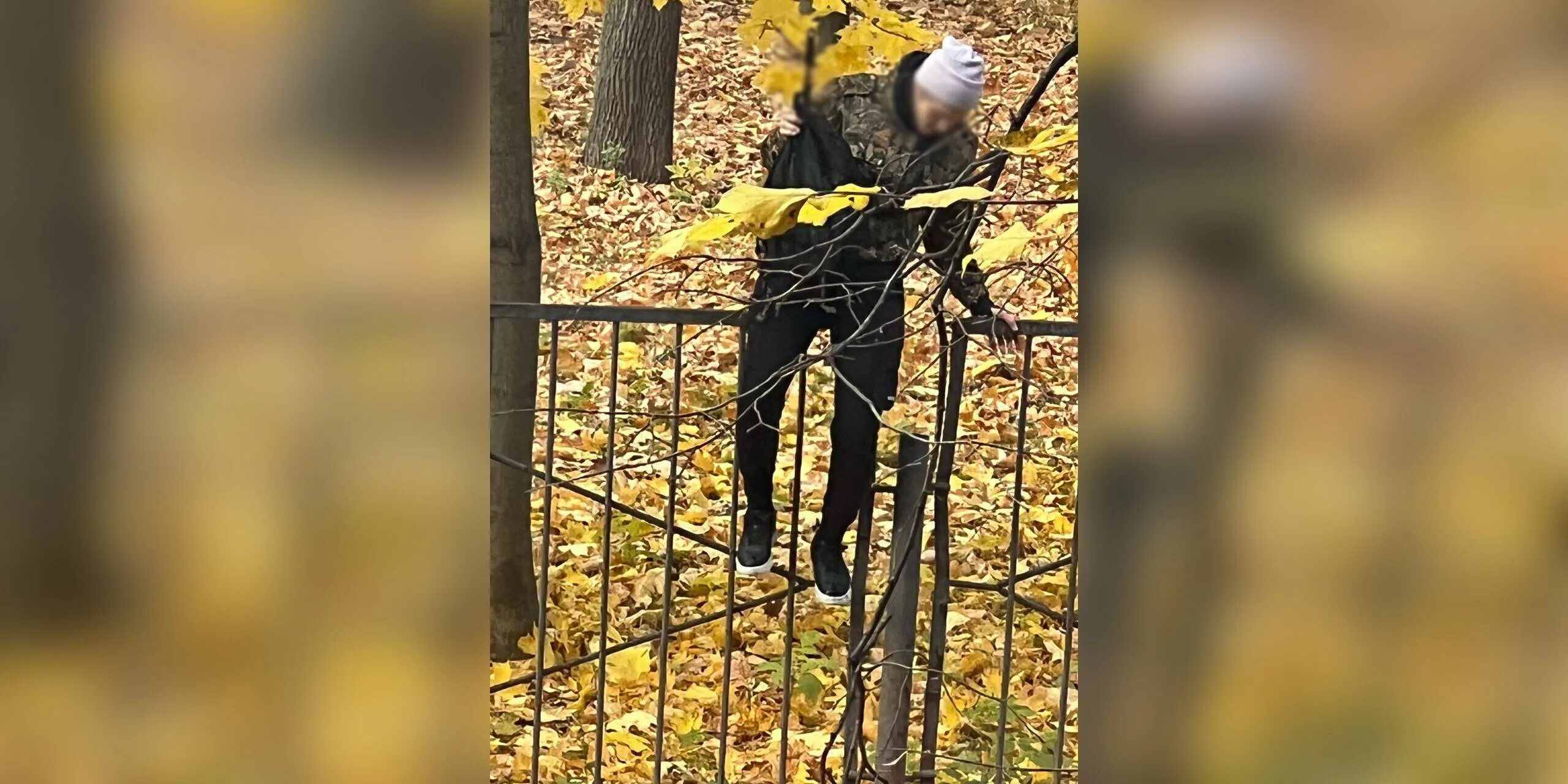 Стрельба в москве перед концертом группы пикник. Человек с оружием возле школы. Стрельба в школе в Москве. Стреляли в мужчину возле школы. Москва 2014 стрельба в школе.