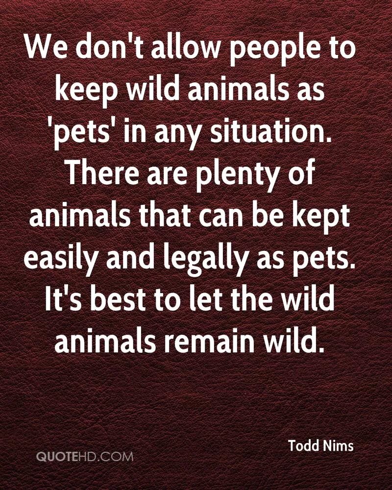 Keeping Wild animals as Pets. Pros and cons of keeping Wild animals. Pros and cons of keeping Wild animals as Pets. Сочинение "the Pros/cons of keeping Wild animals as Pets.