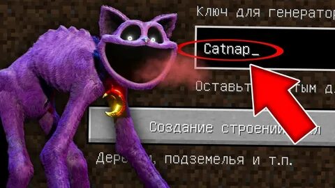 Кот дремот попи 3