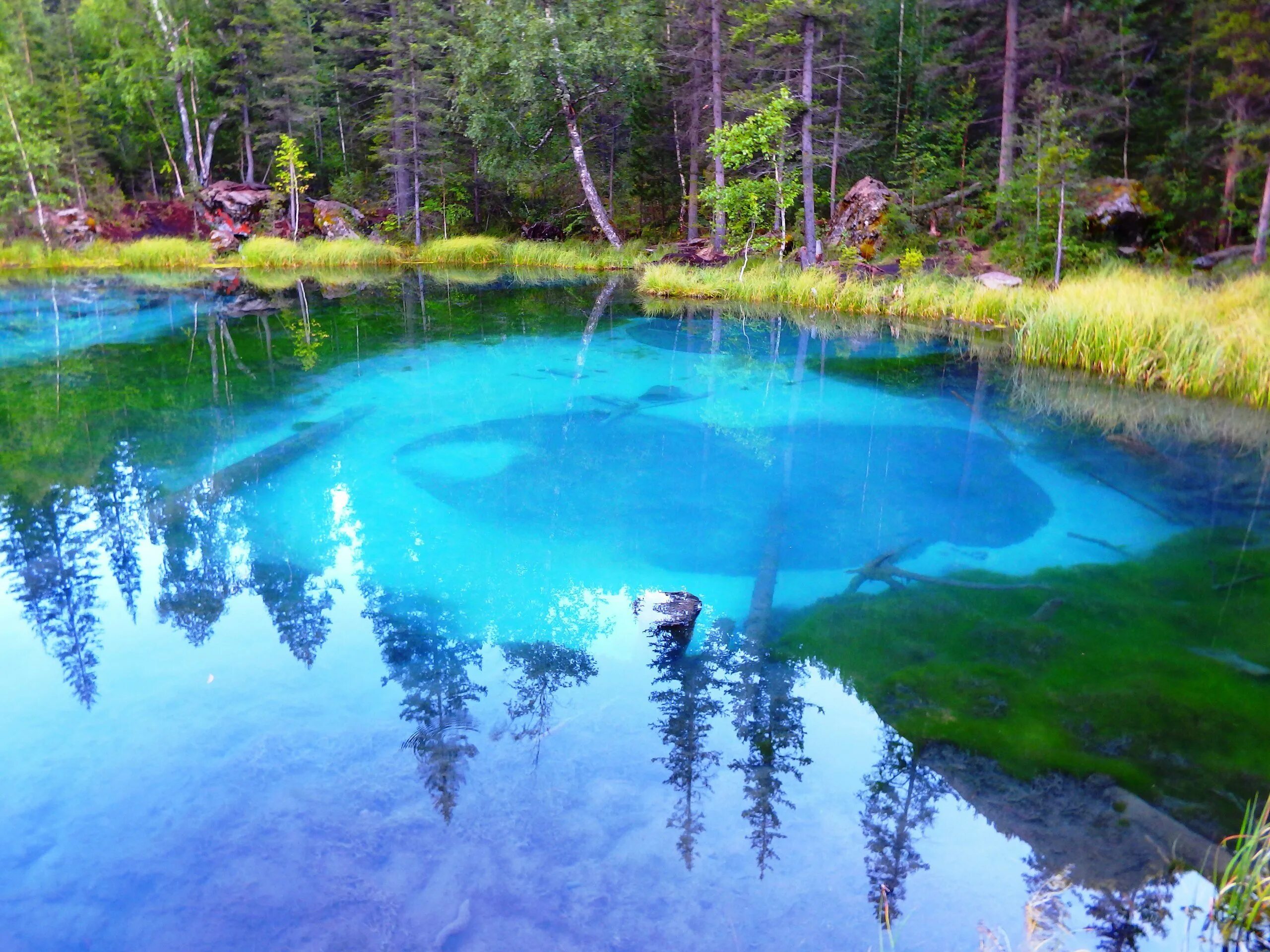 Горно алтайск гейзерное озеро. Голубое гейзерово озеро алтай. Гейзеровое озеро горный алтай осенью. Горно алтайск гейзеровое озеро. Гейзеровое озеро горный алтай.