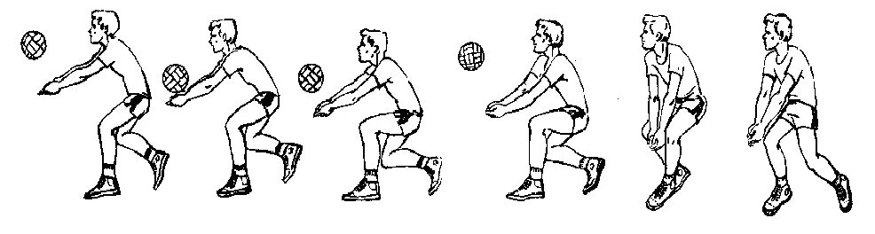 Передача мяча снизу двумя руками в волейболе. Прием волейбольного мяча снизу. Прием и передача мяча снизу двумя руками в волейболе. Прием и передача мяча снизу в волейболе