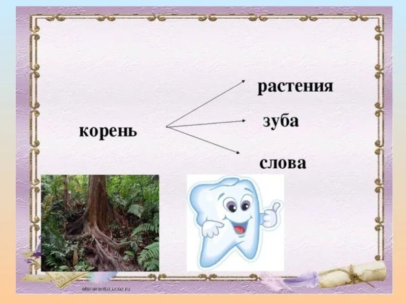 Зубами корень слова