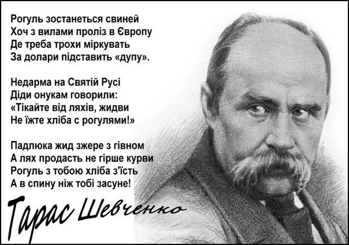 Кацап шевченко стихотворение. Тарас шевченко о москалях. Шевченко кацап. Стихи т г шевченко на украинском. Стихотворения шевченка.