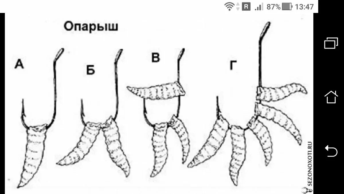 Как насаживать опарыша на крючок для леща. Правильная насадка опарыша на крючок. Способы насадки червя и опарыша. Насадка опарыша на крючок для плотвы.