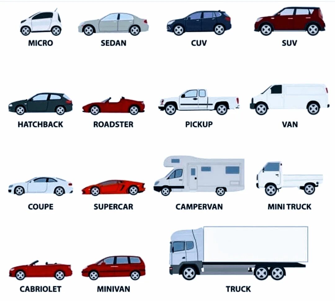 Vehicle type. Седан хэтчбек. Купе седан хэтчбек. Виды машин на английском. Минивэн хэтчбек седан.