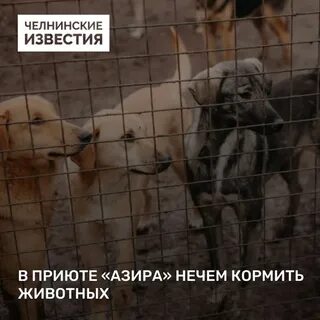 Кормить нечем