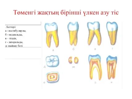 Ресейде секс досының анасын азғырды