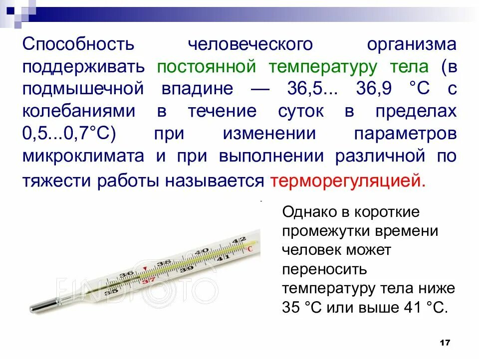 Высокая температура у взрослого сколько