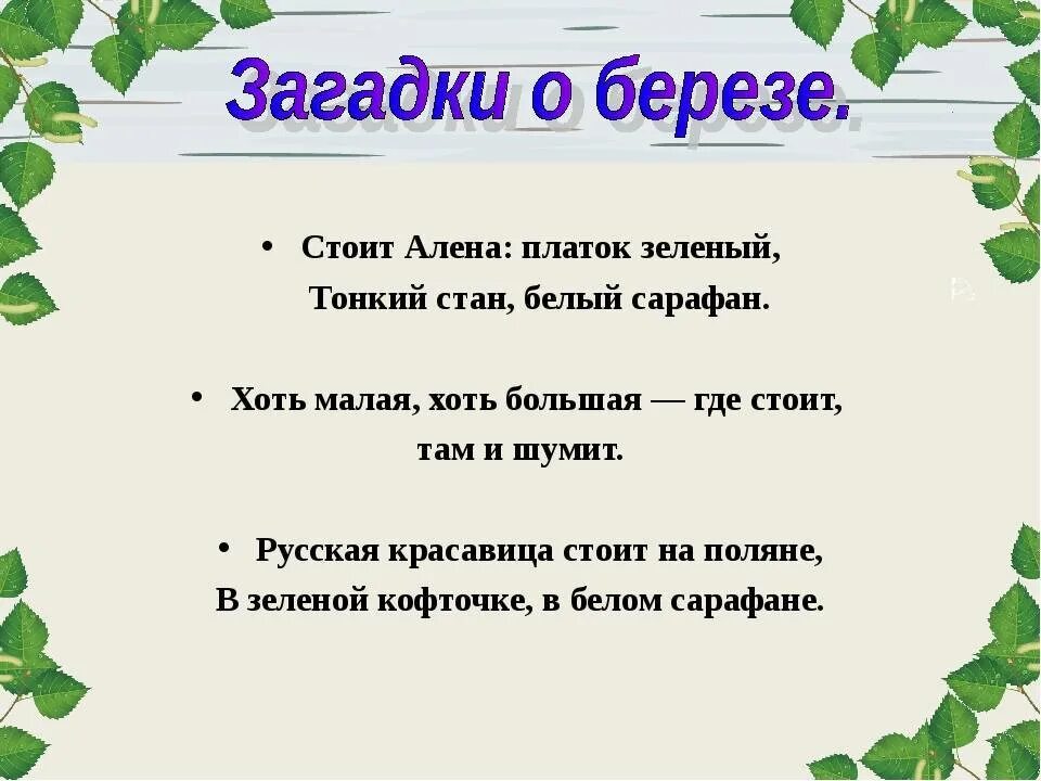 Загадка стоит алена платок. Загадка про березу. Загадка про березу для детей. Загадки про березу для дошкольников. Загадка про березку.