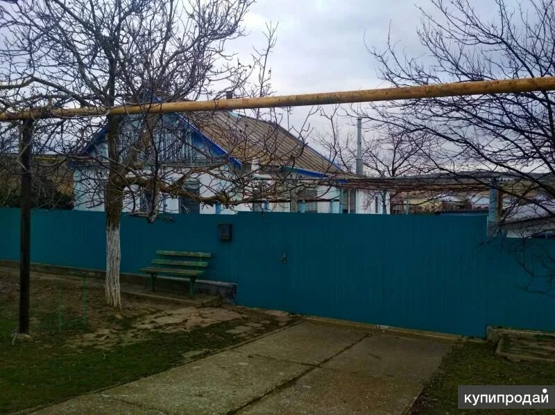 Виноградная лоза тамань. Темрюк виноград савиньен. Фанагория таманский полуостров виноградники. Поселок виноградный краснодарский край. Виноградный темрюкский.
