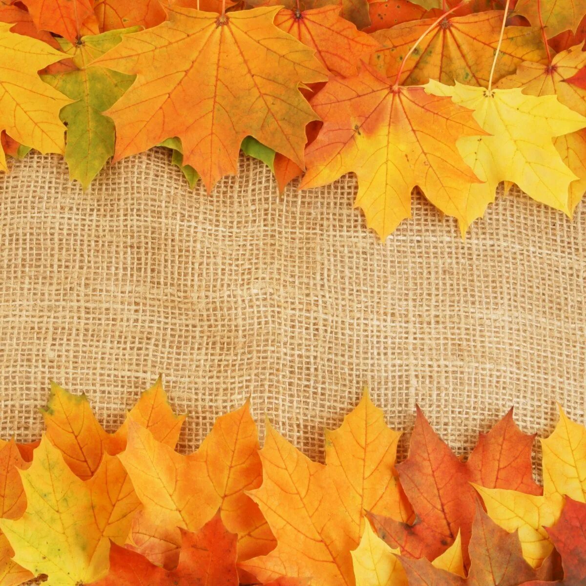 Анонсы осени. Поступление новинок осень. Осенние анонсы. Анонс про осень. Анонс мероприятий ко дню пожилых людей.