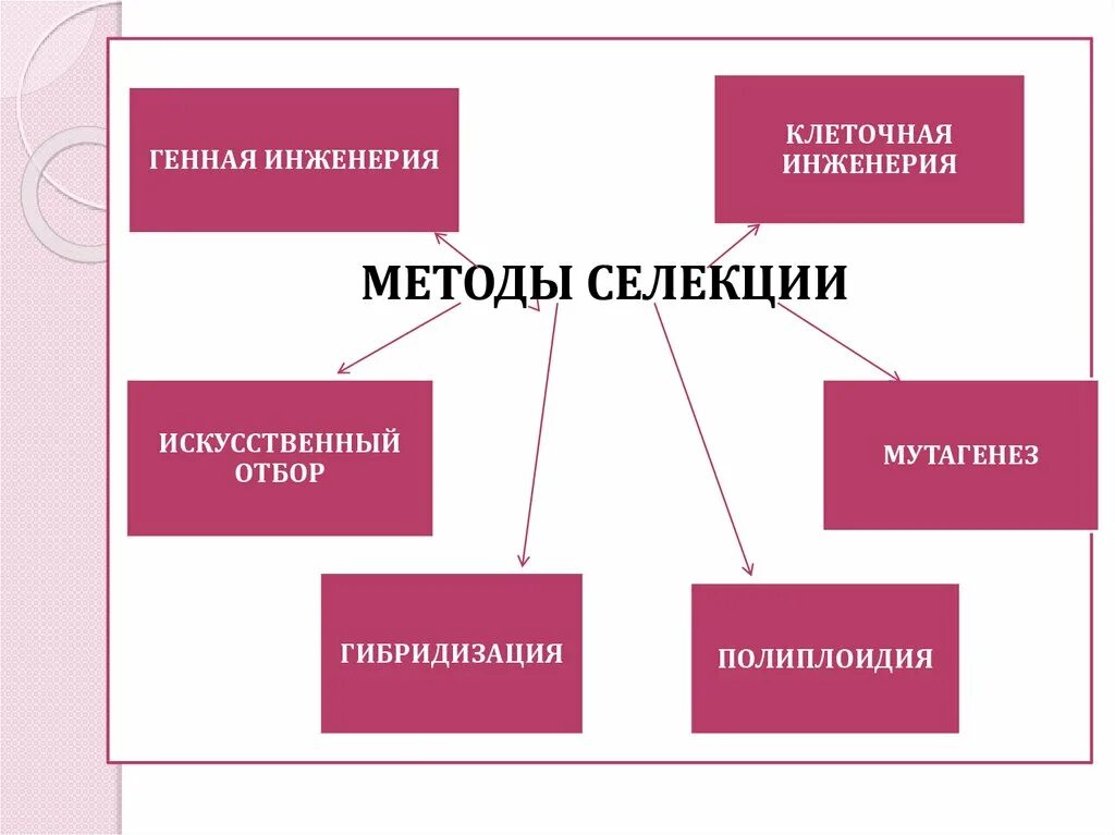 Искусственная гибридизация животных. Схема классификации методов селекции. Методы селекции схема. Методы селекции растений и животных схема. Методы изучения селекции.