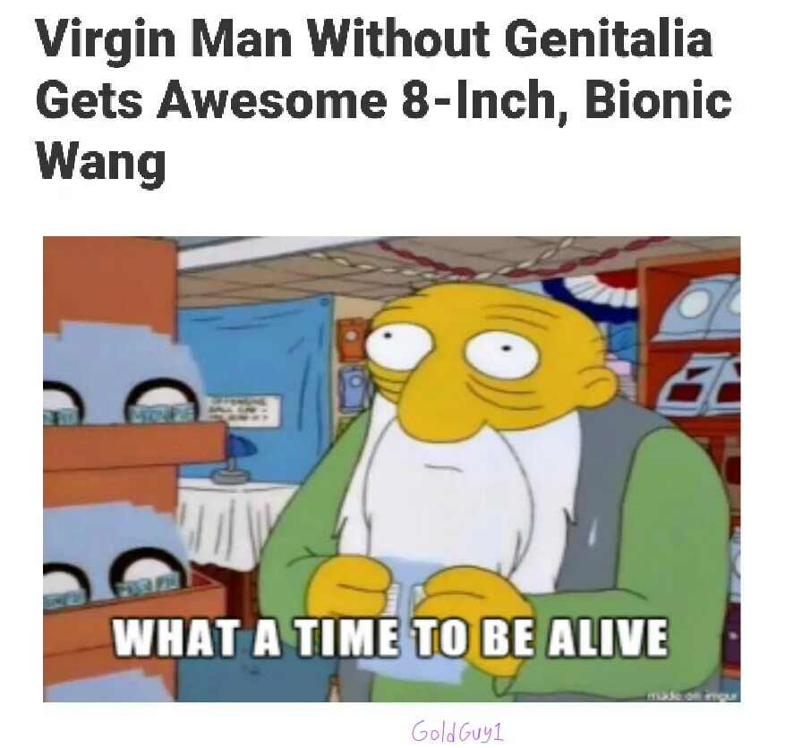 To be alive with. What a time to be alive. what a time to be alive meme. yay мем. simpsons memes.