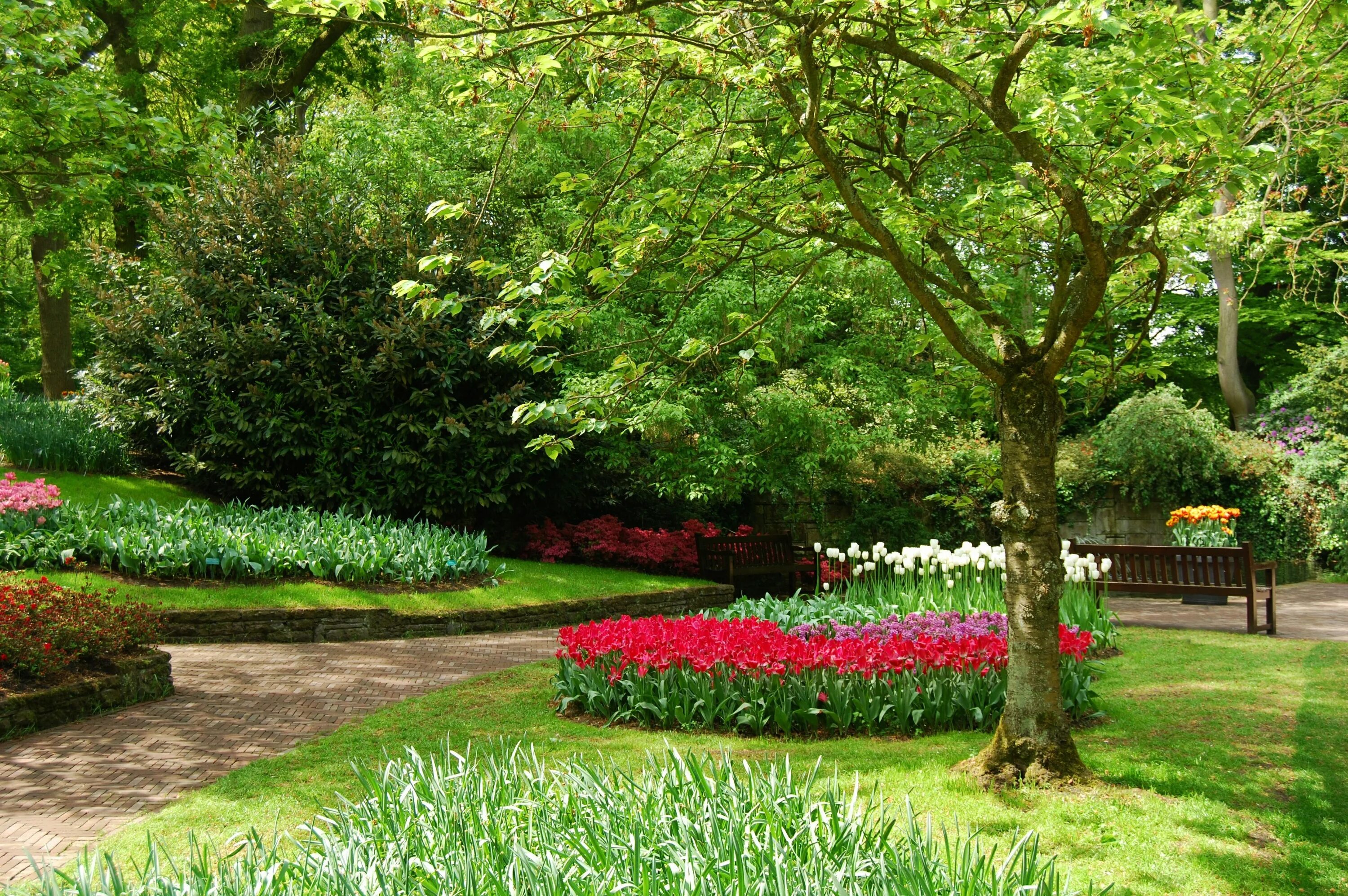 Флауэрс Гарден парк. Красивый сад. Деревья для сада. Красивые деревья для сада.